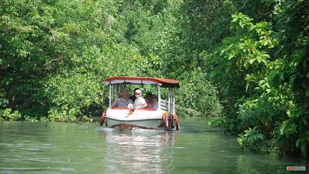 Poovar Back Water