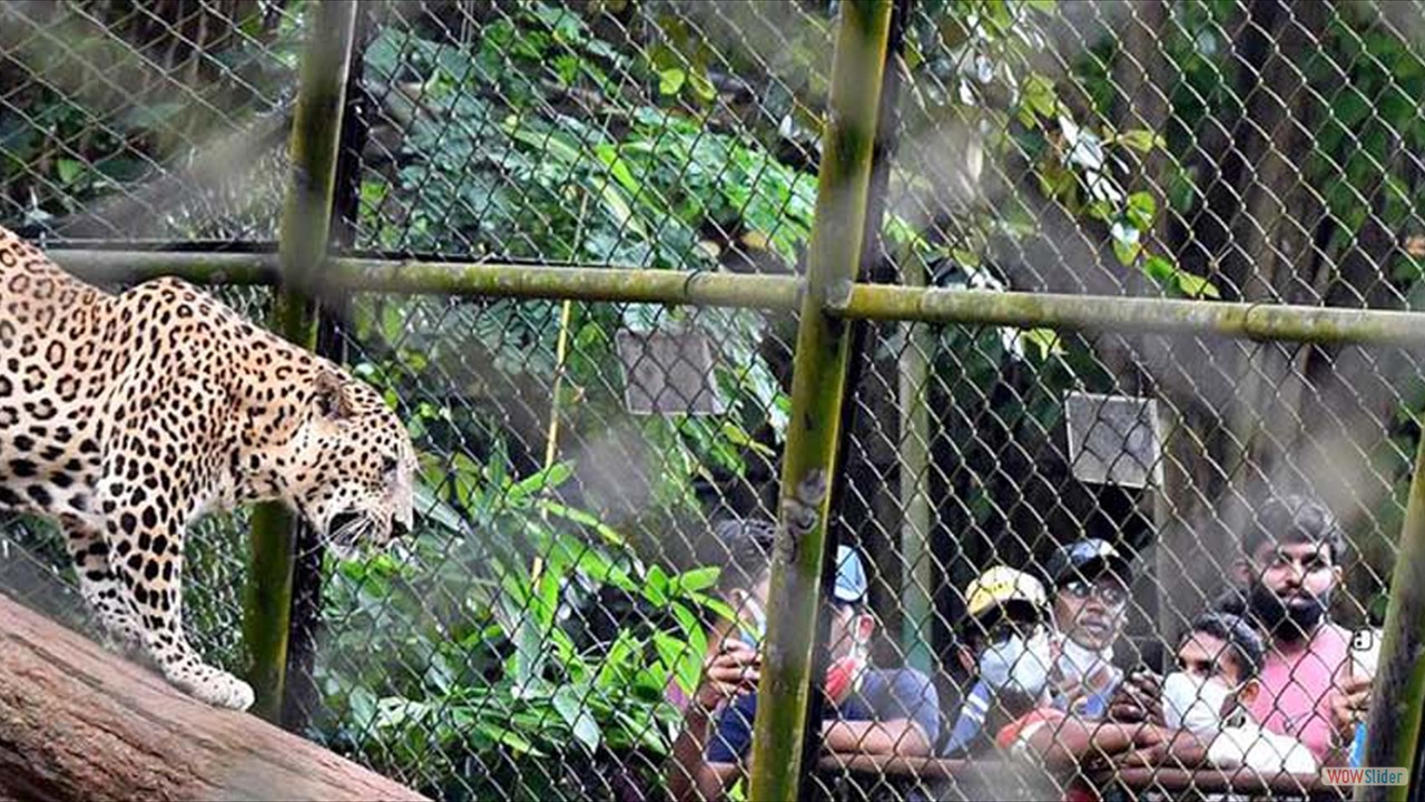 Trivandrum Zoo